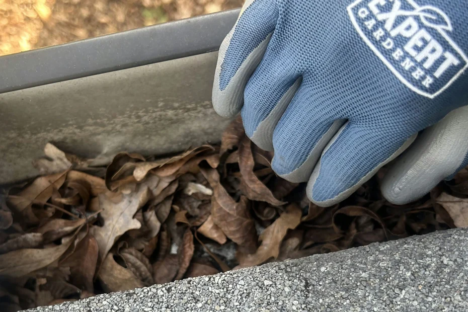 Gutter Cleaning Worthington