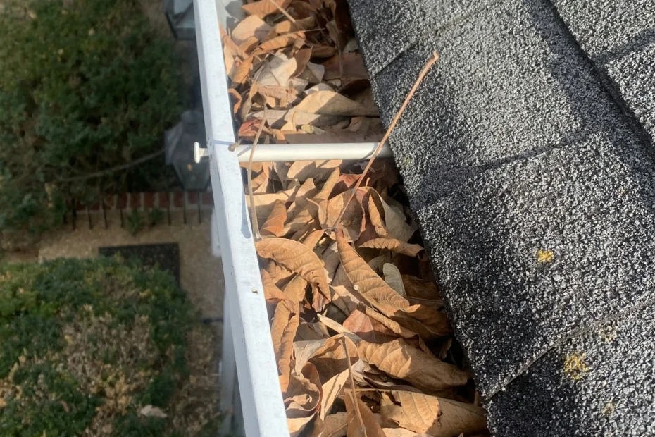 Gutter Cleaning Worthington