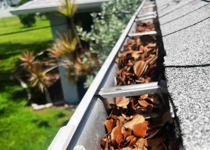 Gutter Cleaning Worthington home page